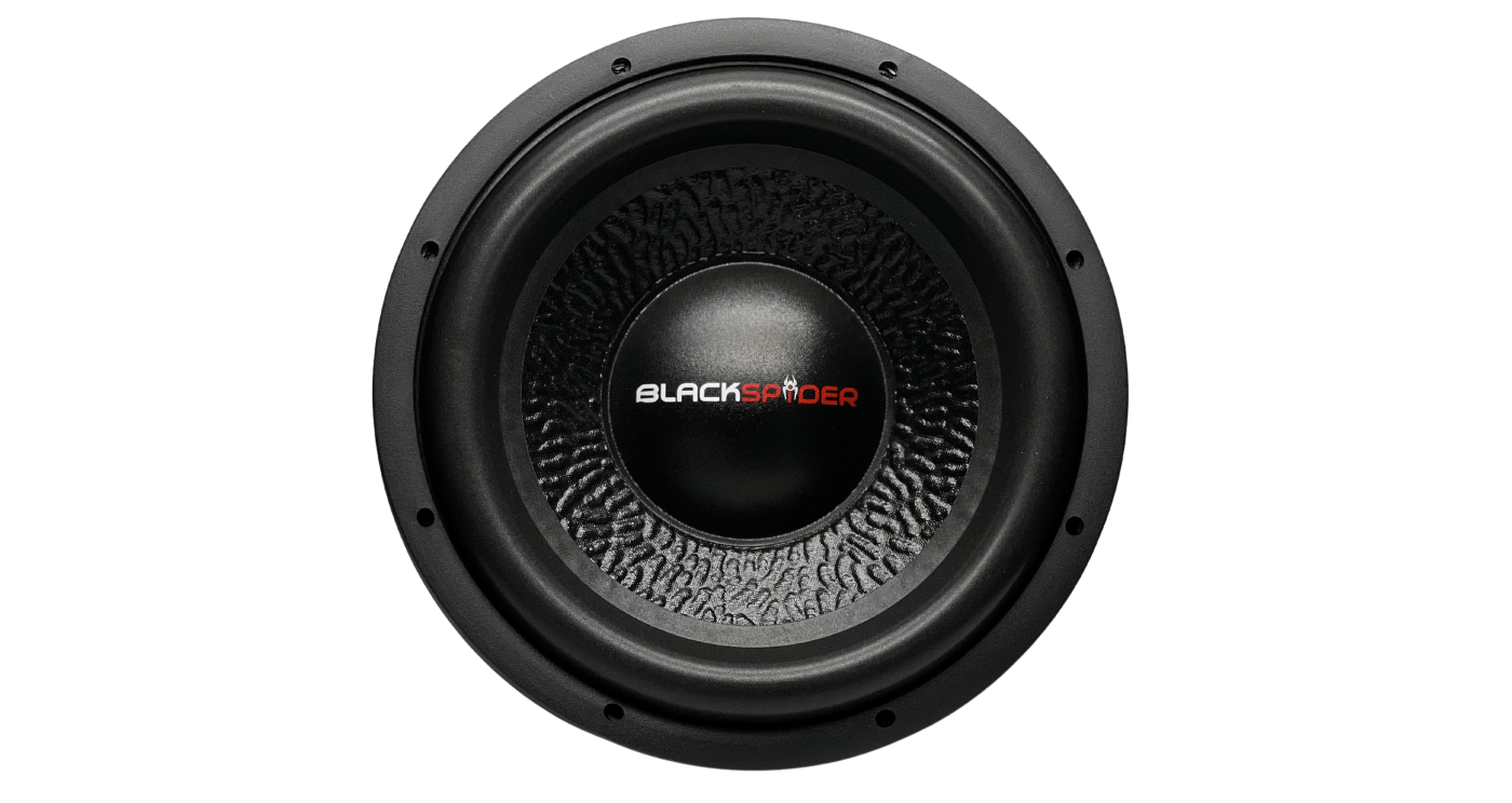 Blackspider Jumping 12