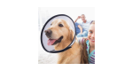 Dog Recovery Collar (XXS - XS) - Image 3