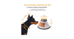 Dog Recovery Collar (XXS - XS) - Image 5