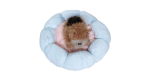 Petal Pet Bed - Peach - M - Image 2