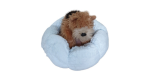 Petal Pet Bed - Peach - M - Image 4
