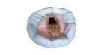 Petal Pet Bed - Peach - M - Image 5